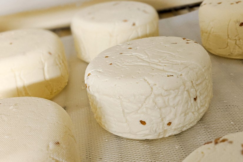 BIO Gouda z Pošné - se zeleným pepřem