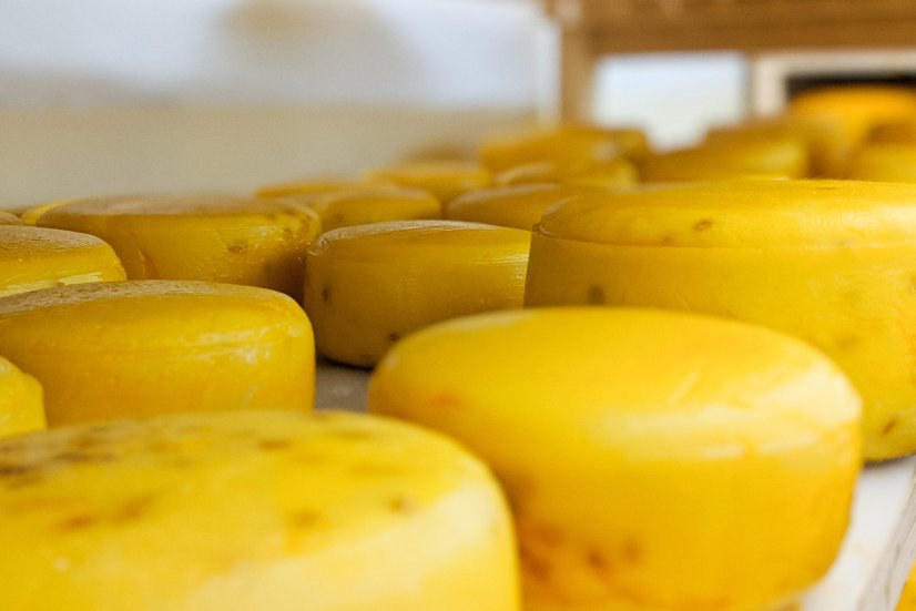 BIO Gouda z Pošné - se zeleným pepřem