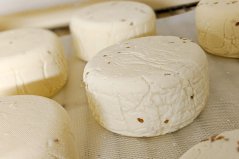 BIO Gouda z Pošné - přírodní